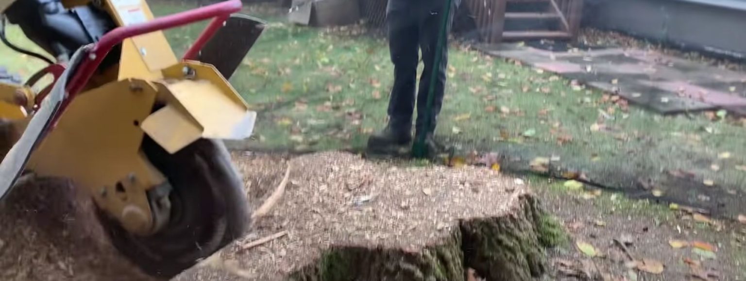 Stump Grinder Rental From Reliable Equipment Reliable Equipment